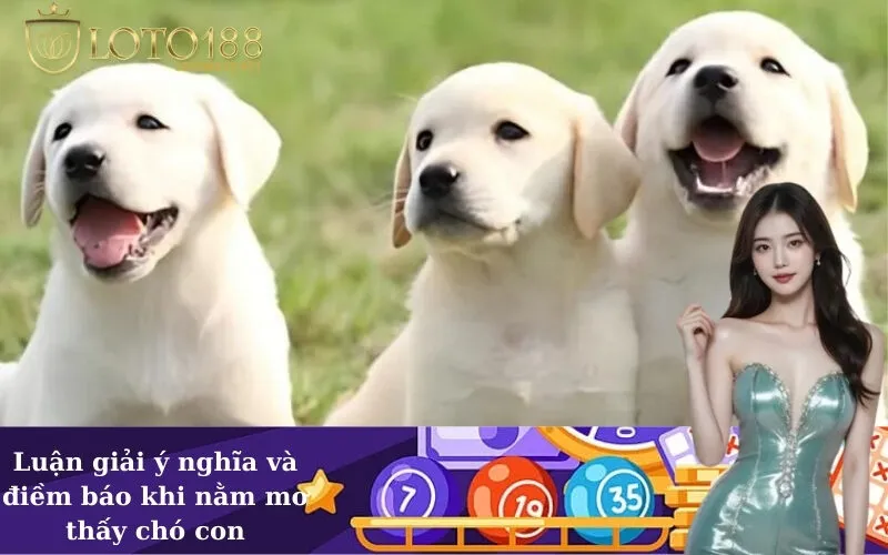 Luận giải ý nghĩa và điềm báo khi nằm mơ thấy chó con
